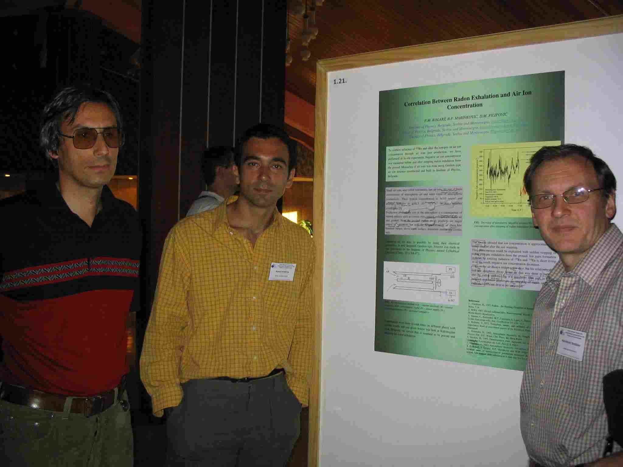 SPIG'04 Conference, Tara, August 2004